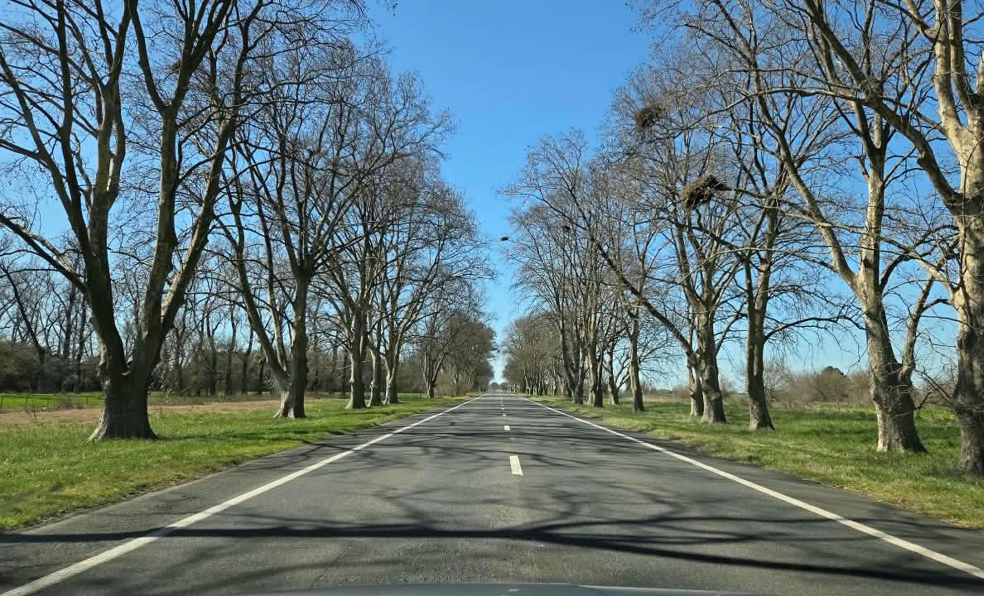 Ruta Nacional 8 hacia San Luis, camino a Carpintería desde Buenos Aires
